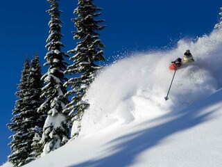 Tiefschnee Workshop in Otto's Schischule
