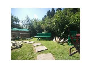 Blick vom Grillplatz