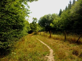 The Scharbeutz dog park - a paradise for dogs!