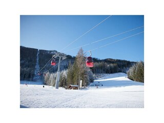 Header_Newsletter11_15