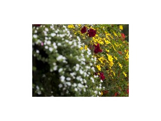 00005_090916_lacknerhof_schuchnig