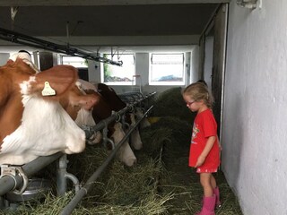 Stallbesuch Pfichttermin