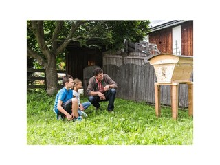 sum, sum sum, ein Bienchen fliegt herum...