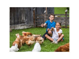 gack, gack, gack da kommen sie...