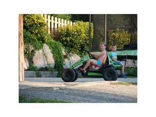 Pferde August 2015 050