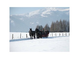 Winterfotos 13-02-2010-02 047