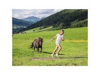 auch Ponys brauchen Bewegung...