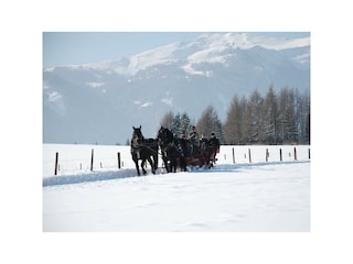 Winterfotos 13-02-2010-02 047