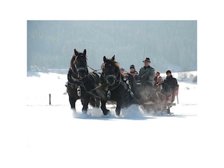 Winterfotos 13-02-2010-02 066