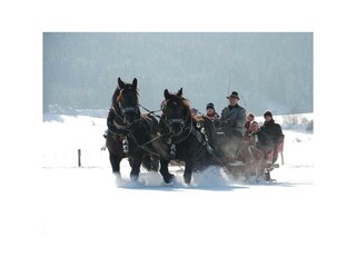 Winterfotos 13-02-2010-02 066