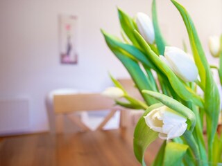 appstranach-top4-lowres-15