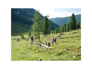 Ausflug in die Alm Juli 2014 020