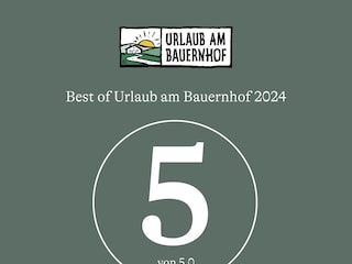_Auszeichnung2024_Bewertungen