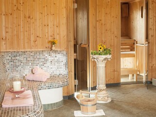 Finnische Sauna - Biosauna