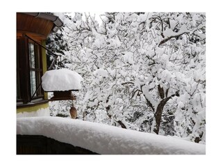 Vogelhäuschen gut befüllt DSCN0315