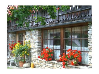 Eingang Gartenwohnung CIMG8632