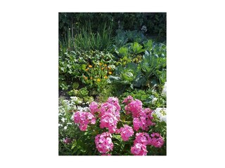 Hausgarten mit Blumen