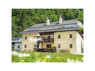 Moarhofer Sommer 2018 kl