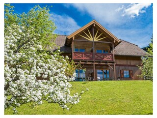 Familien-Appartements Sommer