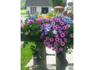 Blumenpracht