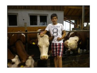 Mithilfe am Hof