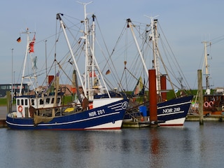 Im Hafen