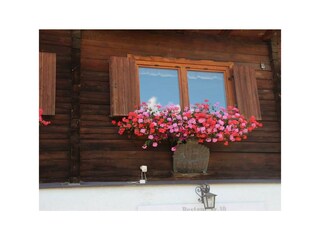 Blumenpracht beim Restgut in Begöriach