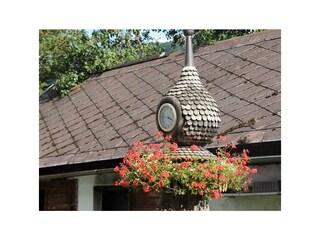 Gute Aussichten beim Restgut