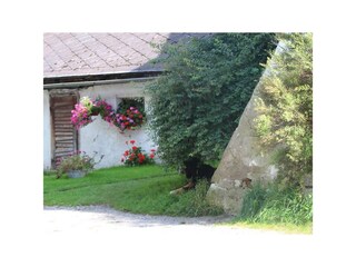 Restgut in Begöriach