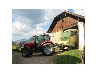 Arbeiten  beim Restgut