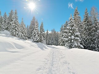 RS1418_DSC_2966_5_4_3_2_1_0_HDR