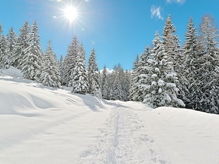 RS1418_DSC_2966_5_4_3_2_1_0_HDR