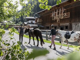 Pferde ausreiten