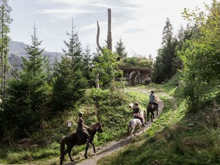 Pferde ausreiten