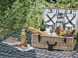 Picknickkorb
