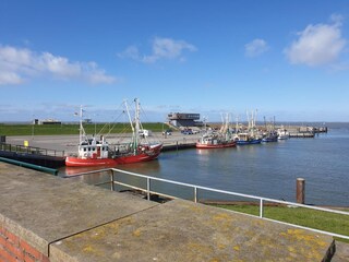 Der Hafen