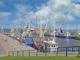 Ferienhaus Dornumersiel Umgebung 26