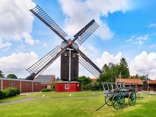 Ferienhaus Dornumersiel Umgebung 30