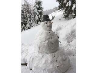 Schneemann Spaß!