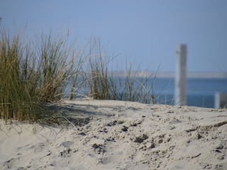 Am Strand