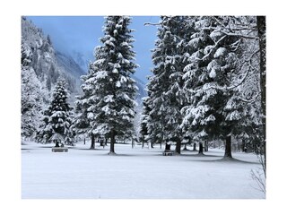 Rund um die Künstleralm