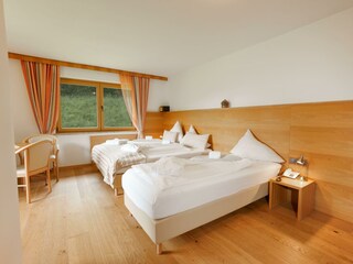 10_Pinzgau