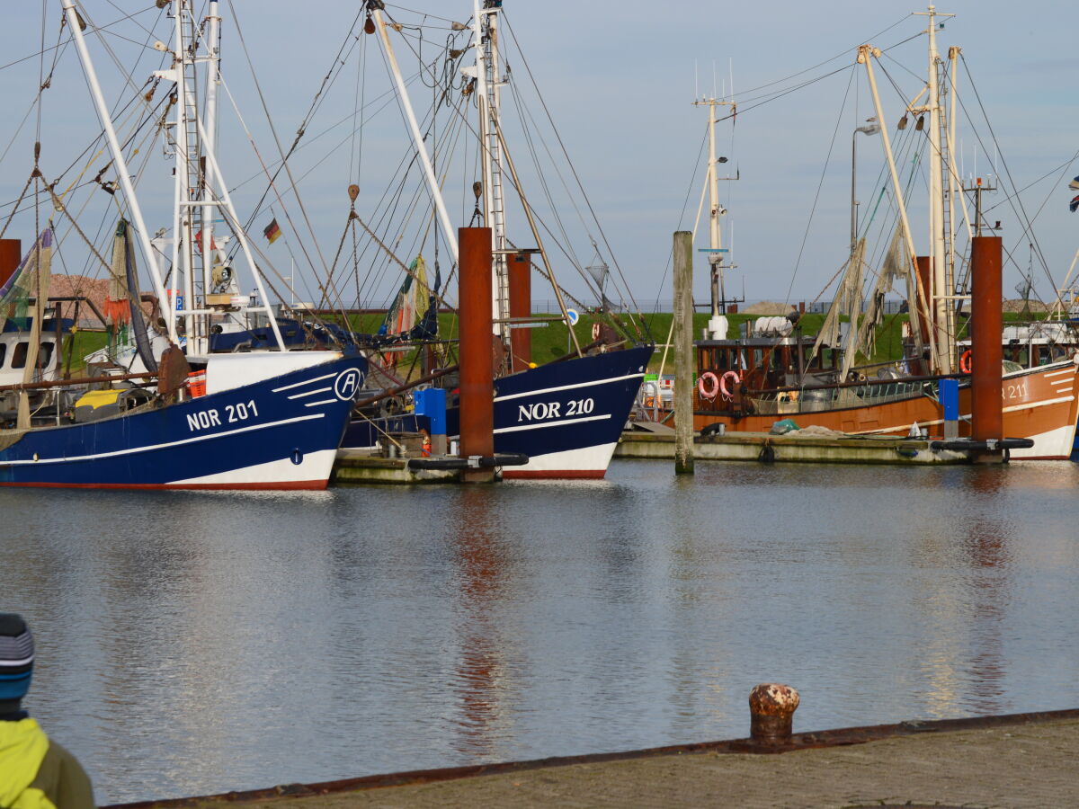 Hafen