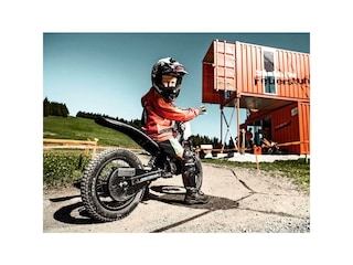 sommer---schmidolins-feuerstuhl---felsch