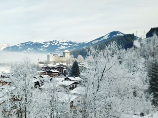 Kaprun winter trees