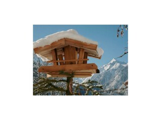 idyllischer Ausblick vom Apartment aufs Kitz