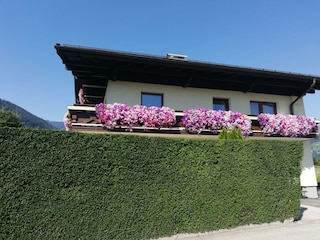 8755de74-0462-4569-b1d4-9251bb8d329e