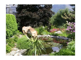 Teich im Garten