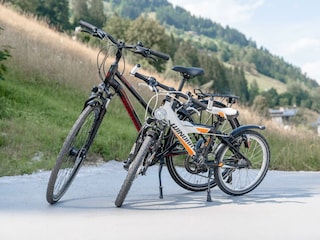 24004-ausstattung-fahrrad-amiamo