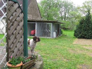 Terrasse und Einfahrt